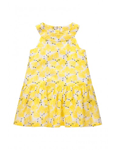 Robe Jaune l'achat 